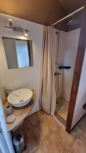 LecciPlage à pied : Mini villa Saint-Cyprien的一间带水槽和淋浴的浴室