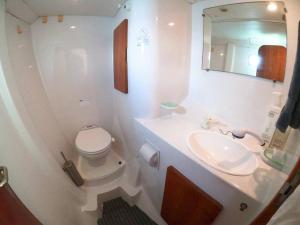 维洛海滩Disney Orlando Catamaran Accommodation的白色的浴室设有卫生间和水槽。