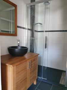 昂吉安班斯2 chambres dans une maison proche de Paris et du Stade de France的一间带水槽和淋浴的浴室