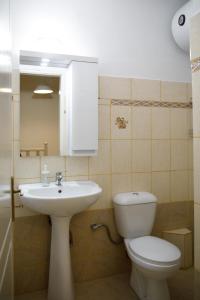吉诺卡斯特Martin Villa Gjirokaster的浴室配有白色卫生间和盥洗盆。