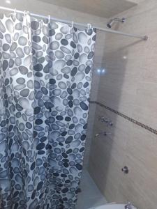 巴尔卡塞Departamento sierras Balcarce的带淋浴和浴帘的浴室