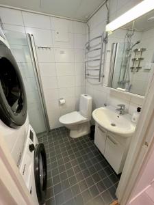 科特卡Hogland Apartments - 2的浴室配有卫生间、盥洗盆和洗衣机。