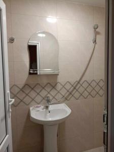 马尔特维利Guesthouse SANIKO的一间带水槽和镜子的浴室