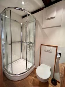 阿恩斯贝格Hotel Pemü的带淋浴和卫生间的浴室