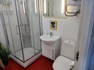 斯塔万格Cozee Central Apartments的带淋浴、卫生间和盥洗盆的浴室