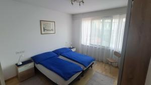 洛迦诺Casa Franceschini的一间卧室配有一张带蓝色床单的床和一扇窗户。