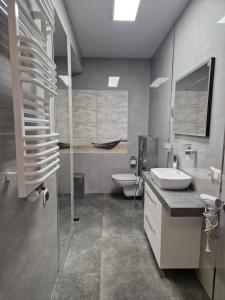 帕克Apartament DELFIN的一间带水槽和卫生间的浴室