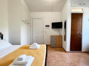 凯法利尼亚岛Villa Kostoula Mini house的卧室配有一张床,墙上配有电视。