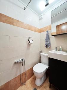 凯法利尼亚岛Villa Kostoula Mini house的一间带卫生间和水槽的浴室
