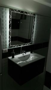 菲乌米奇诺Fiumicino Aeroporto Casa Vacanze Papaveri的一间带水槽和镜子的浴室