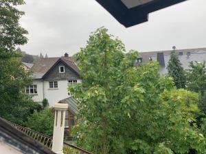赫尔博恩Ferienwohnung Herborn的前面有一棵树的白色房子