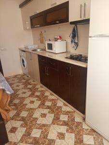 埃里温City Center Cozy Apartment Tigran Mets的厨房配有冰箱、水槽和微波炉