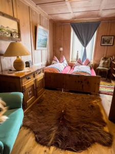 瓦尔腾斯堡Ferienwohnung Waltensburg的一间卧室配有一张大地毯