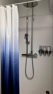 BolungarvíkWestfjords - Rooms的浴室设有蓝色淋浴帘和淋浴