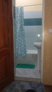 布琼布拉Kajaga Tanganyika的浴室配有淋浴帘和盥洗盆。