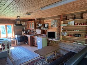 Guesthouse Nature Trails Sweden的小木屋内的厨房配有冰箱和桌子