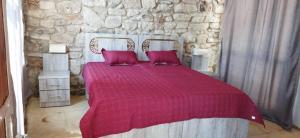 达纳Dana View Guest House的一间卧室配有红色的床和两个枕头