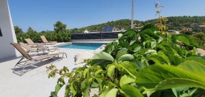 迪斯诺Villa THALIA的一个带2把躺椅和植物的游泳池