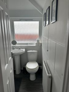 纽波特2 bedroom semi-detached house- sleeps 4的一间带卫生间和水槽的小浴室