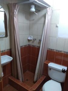 普诺Hostal Vista al Lago Titicaca Puno的浴室配有卫生间、盥洗盆和淋浴。