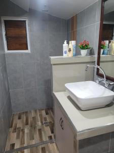 辛加东卡K&S Apartment的台面上带白色水槽的浴室
