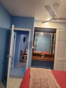 辛加东卡K&S Apartment的一间卧室配有一张带镜子的床和吊扇