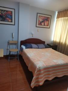 伊洛Hostal Puerto Ingles的卧室配有1张床、1张桌子和1把椅子