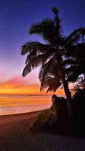 纳库拉岛Oarsman's Bay Lodge的日落时在海滩上种植棕榈树