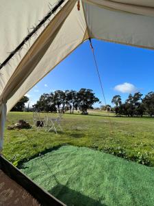 亚拉腊Cosy Glamping Tent 3的帐篷,后面有绿色的场地