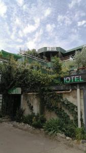 第比利斯Kai Hotel Bar的一座在建筑一侧生长着植物的酒店