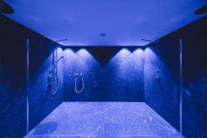 维皮泰诺兰娜霍夫酒店的深色浴室设有蓝色天花板和淋浴