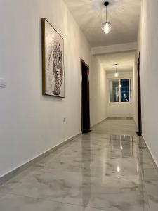 乌尔齐尼Lindi apartments的走廊上设有白色的墙壁和墙上的绘画作品