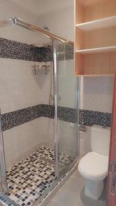 布兹尼盖Appartement Nova - Costa Bouznika的一间带卫生间和玻璃淋浴间的浴室