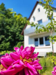 WeierMuhrbach的房子前面的粉红色花