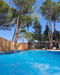 爱尔巴桑Kriva Resort的一座绿树成荫的蓝色游泳池