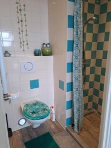 佐特兰德Unia's Verhuur的一间带卫生间和淋浴的浴室