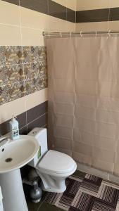 塔拉兹Гостевой Домик Жайлау的浴室配有白色卫生间和盥洗盆。