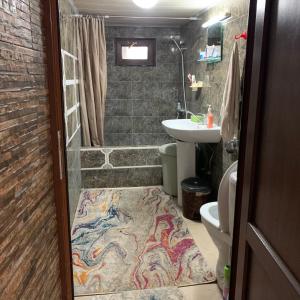 西格纳吉Sofya的浴室配有盥洗盆和带地毯的淋浴