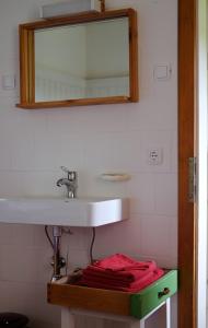 德意志兰茨贝格Apartment bei der Tischlerei的浴室设有水槽、镜子和红色毛巾