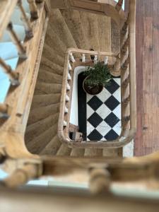 罗什福尔Maison Comtale的螺旋楼梯,地板上种植了盆栽植物