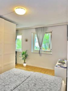 苏黎世Suite 505 nel cuore di Zurigo的一间卧室设有一张床和一个窗口