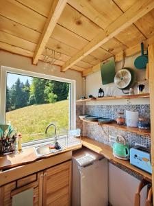 布朗Rainbow Chalet的厨房设有水槽和窗户。