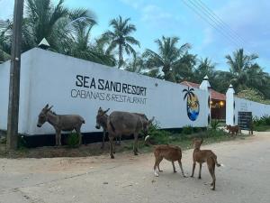 卡尔皮蒂耶Sea Sand Resort的一组站在标志前的动物