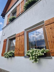 Pernink马科斯旅馆的两扇窗户,配有木制百叶窗和盆栽植物