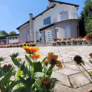 乌罗舍瓦茨Amazing Villa with pool nearby Shtime - Ferizaj的前面有鲜花的房子