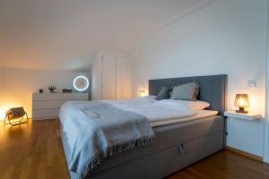 BleckhausenEifel21 - stilvolles Haus in der Vulkaneifel的一间卧室配有一张大床,上面有蓝色的毯子