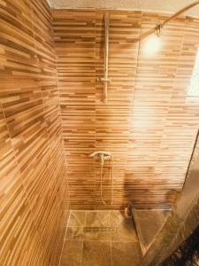 萨拉热窝Guest house Nizama's Place的带淋浴的浴室和木墙