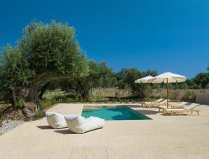 瓦西里科斯Terra Oleana Cottages的一个带2把躺椅和遮阳伞的游泳池