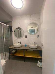 洛格罗尼奥APARTAMENTO TROMPETA GaRaJe的一间带两个盥洗盆、淋浴和镜子的浴室