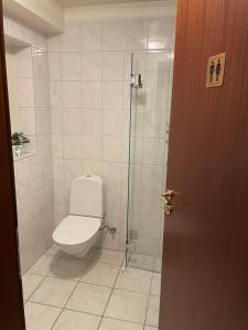 哈德洛姆斯塔泽葛莱混杜林住宿加早餐旅馆的一间带卫生间和玻璃淋浴间的浴室